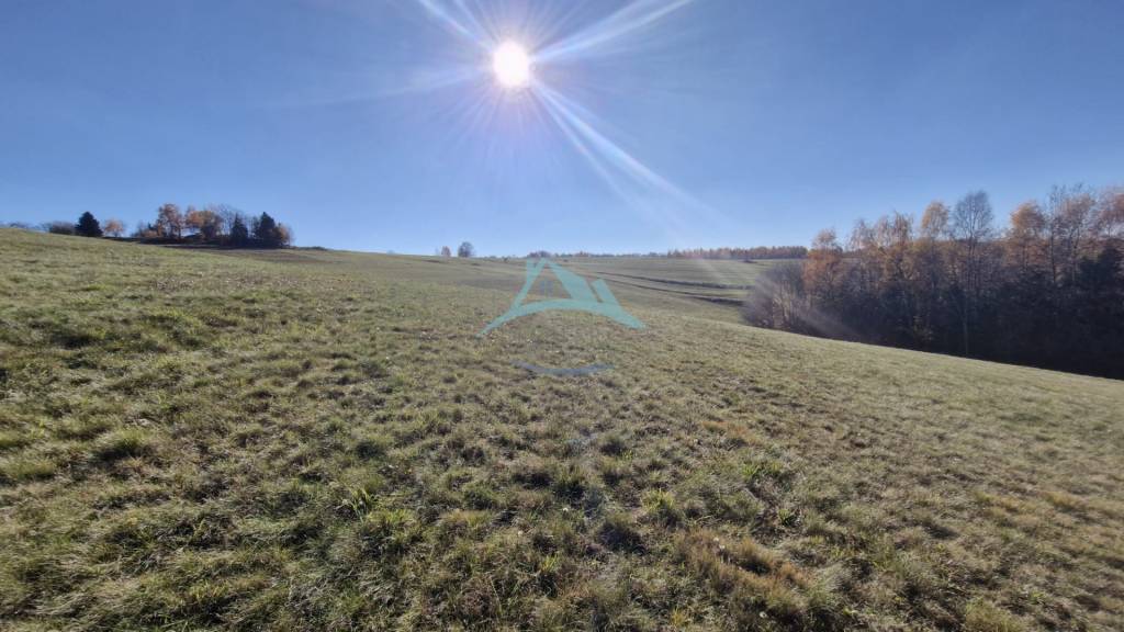 Pozemok (7750m2) s výhľadom na Nízke Tatry v obci Detvianska - 13