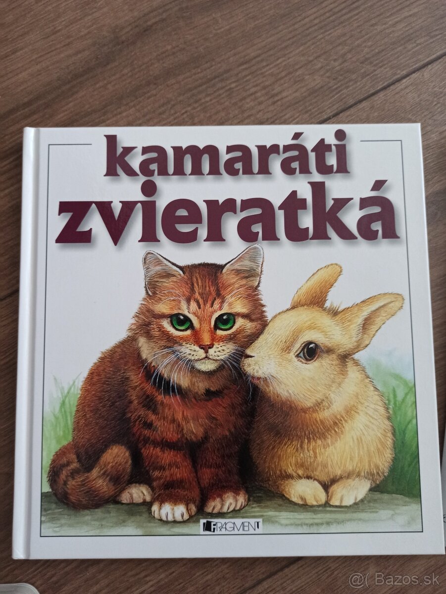 Knihy, vymaľovánka - 13