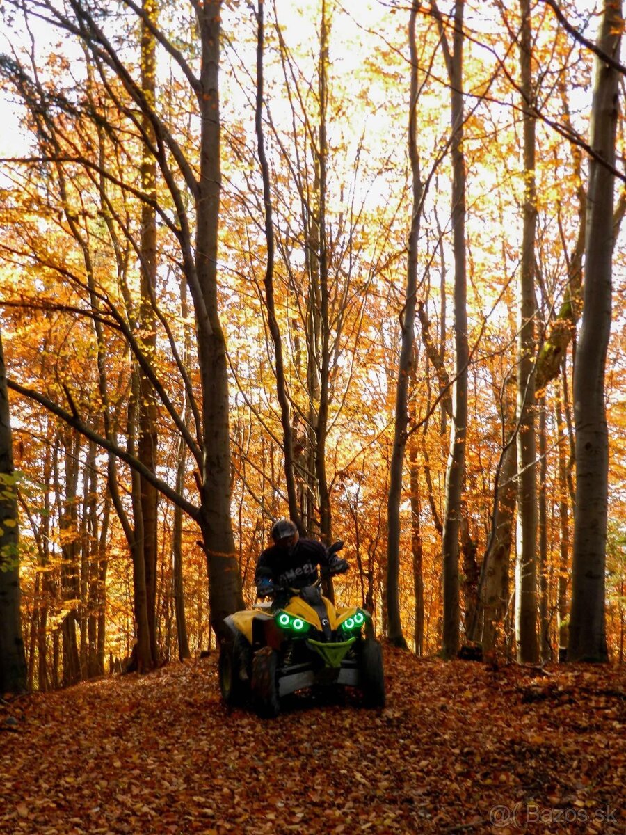 Can am renegade 800 - 13