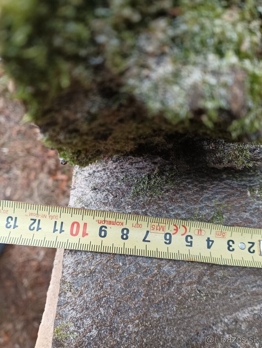 Suché koláče z Habra a Buka - 13