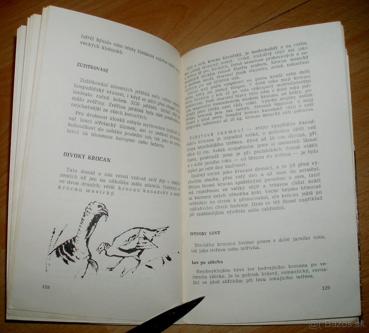 Lovecké praktikum - 13