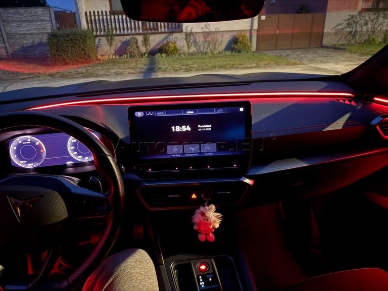 Cupra Formentor 2.0 TDI 150k 4Drive DSG - 13