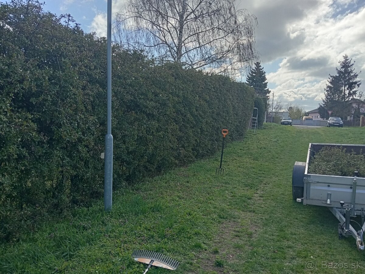 Ponúkame kosenie pozemkov - 13