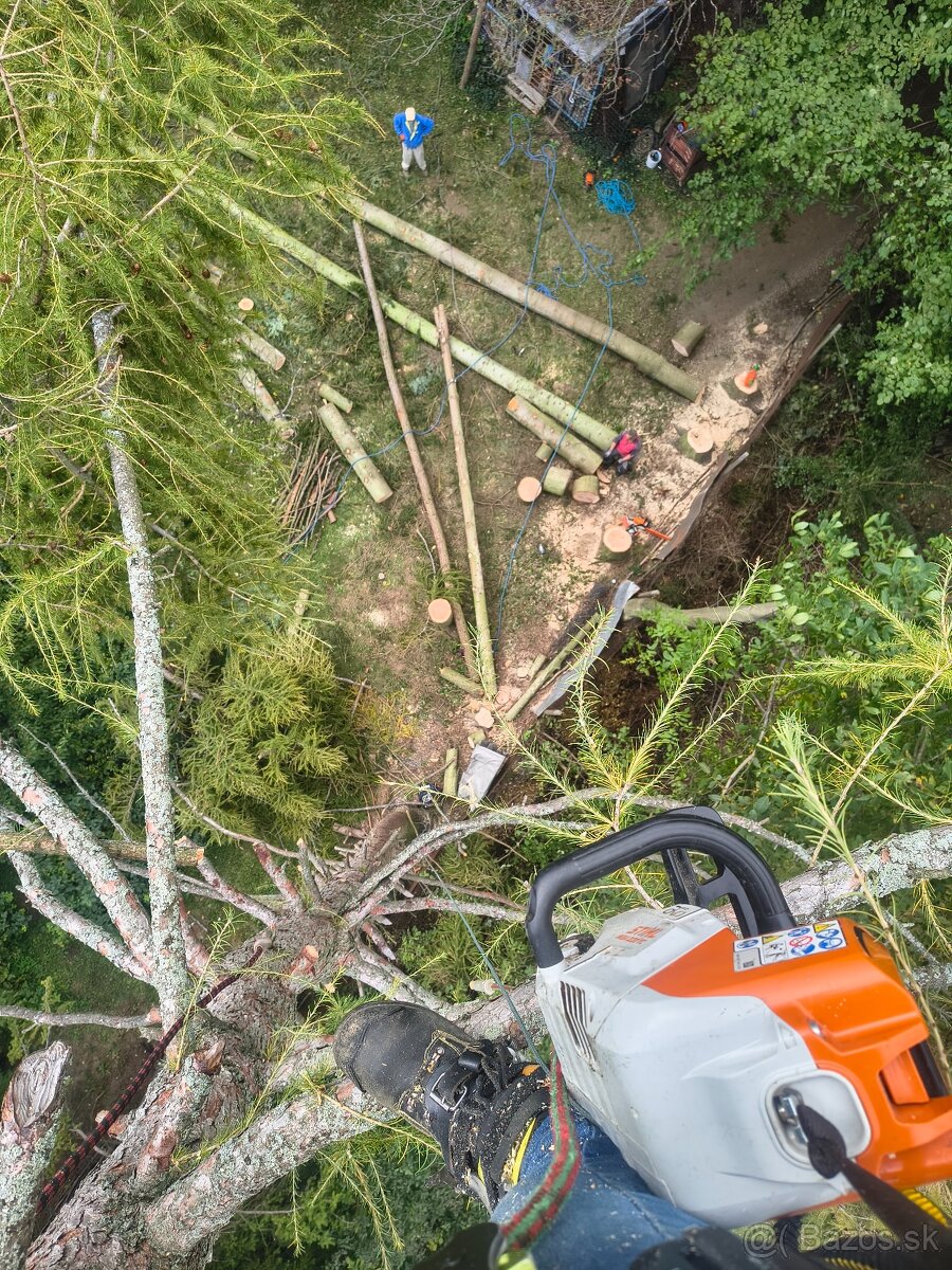 Rizikové orezávanie a výrub stromov, kosenie údržba záhrad - 13