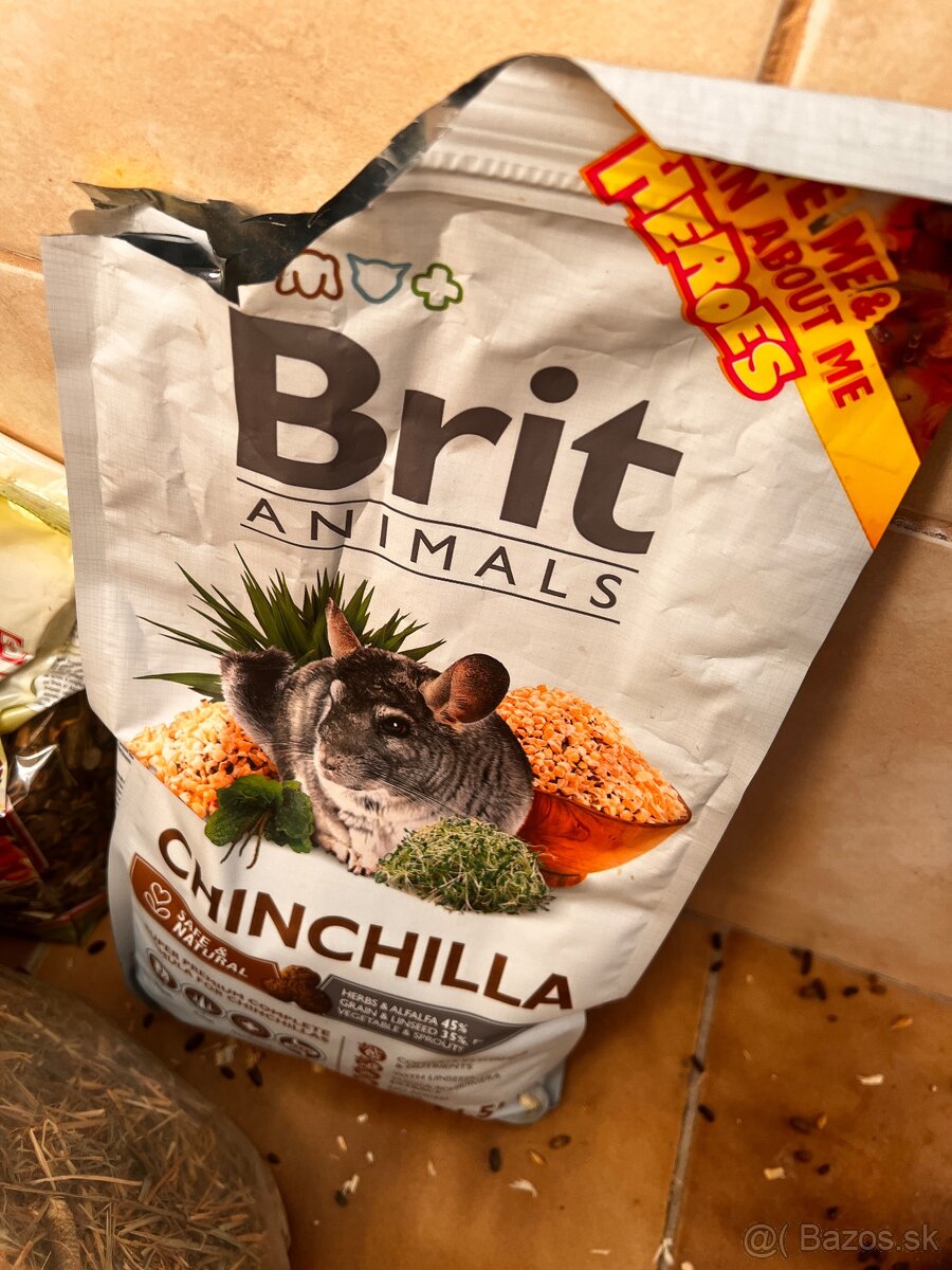 Predám Činčilu REZEROVANÉ VŠETKY - 13