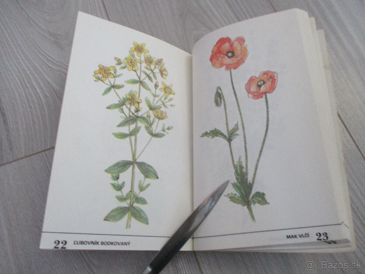 Zber liečivých rastlín - 13