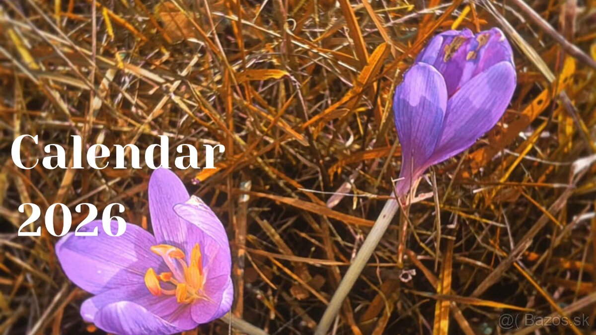 ✨ 4x Kalendár 2026 pre tvoj dokonalý rok Príroda & Akvarel. - 13