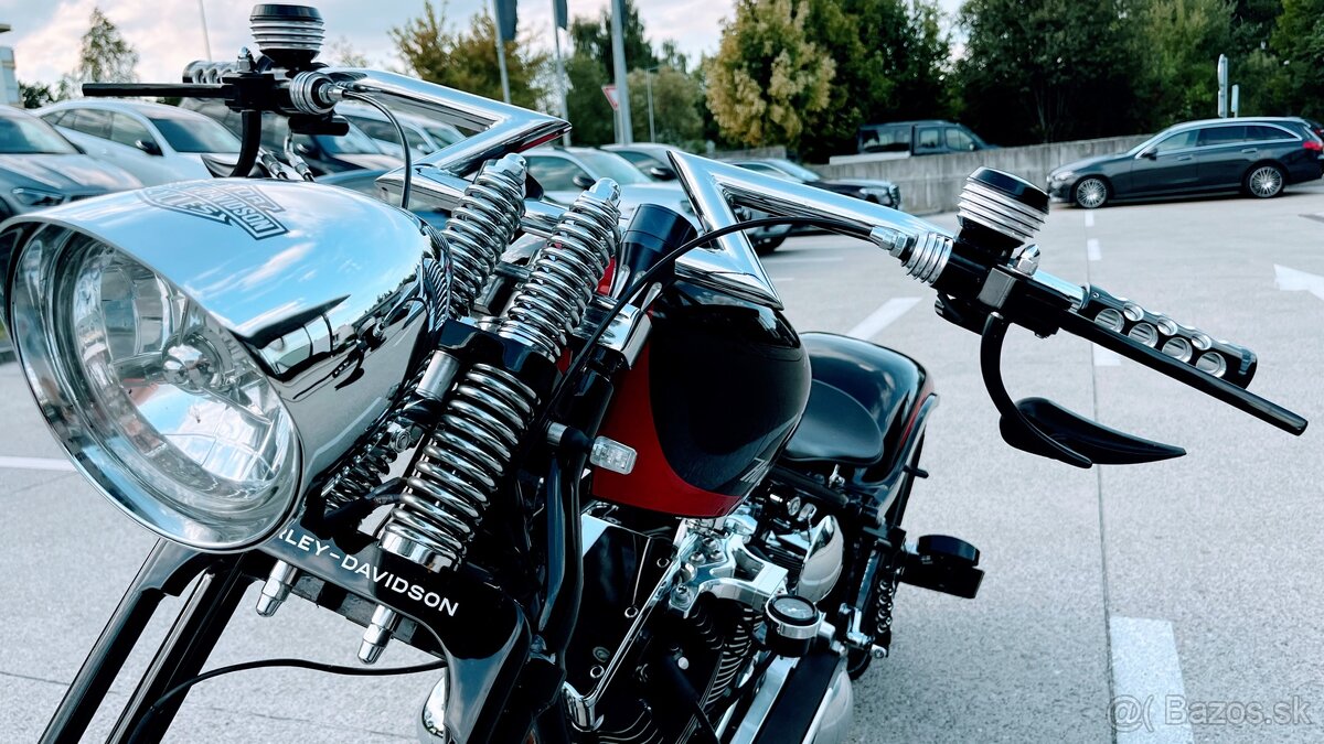 Harley Davidson Custom 300 - 13