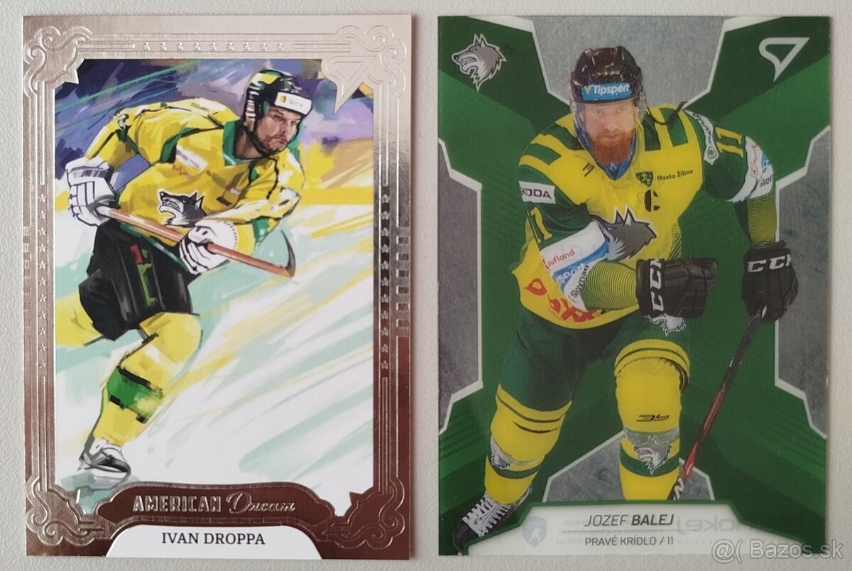 Hokejové kartičky TIPOS EXTRALIGA 2024/2025 - VLCI ŽILINA - 13