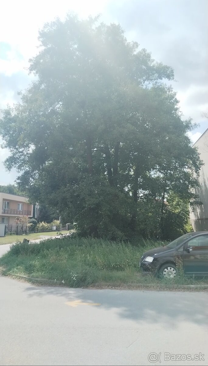 Predam menší pozemok v meste Šaštín-Stráže - 13