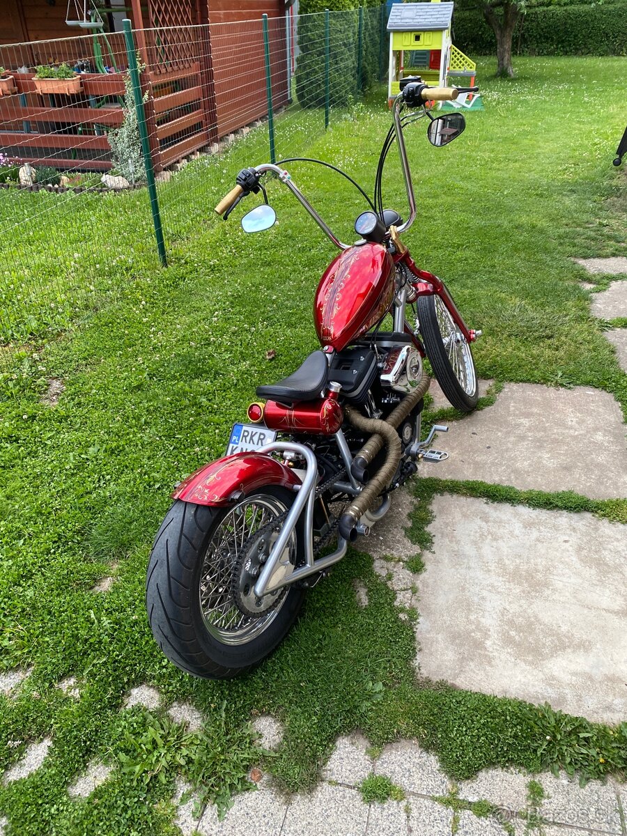 Custom Harley Davidson - 13