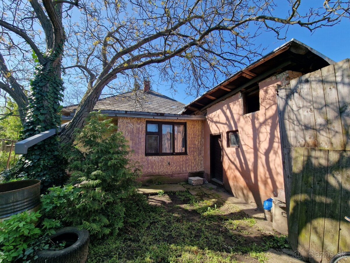 Pozemok o výmere 4543 m2 so starším RD na predaj - 13