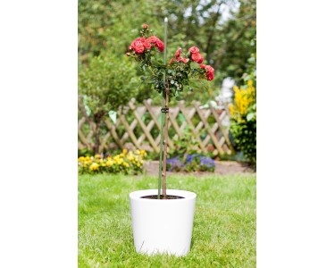 Zelené oporné tyče - 13