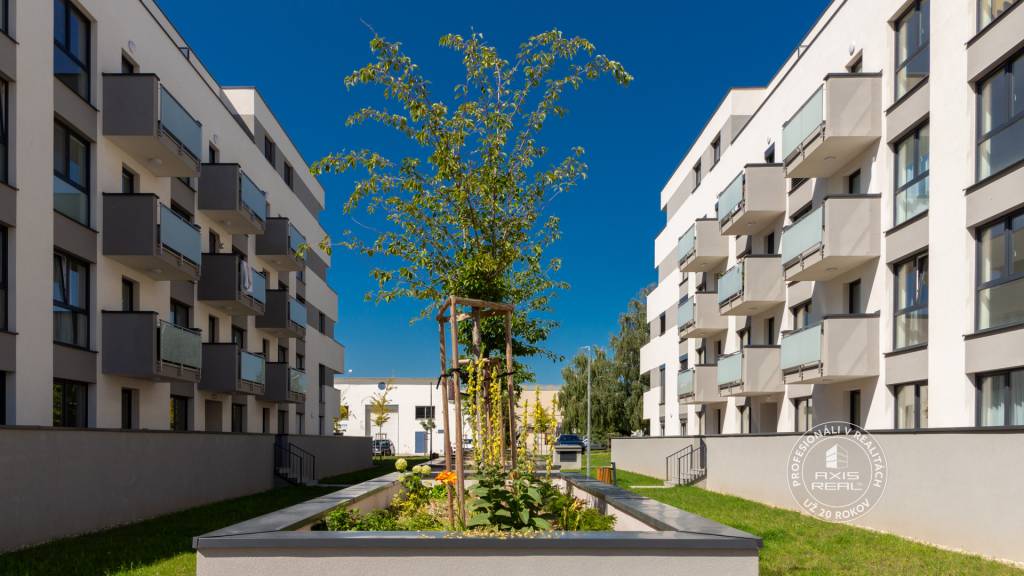 AXIS REAL | Úplne nový moderný 2-izbový byt, Stupava, Cement - 13