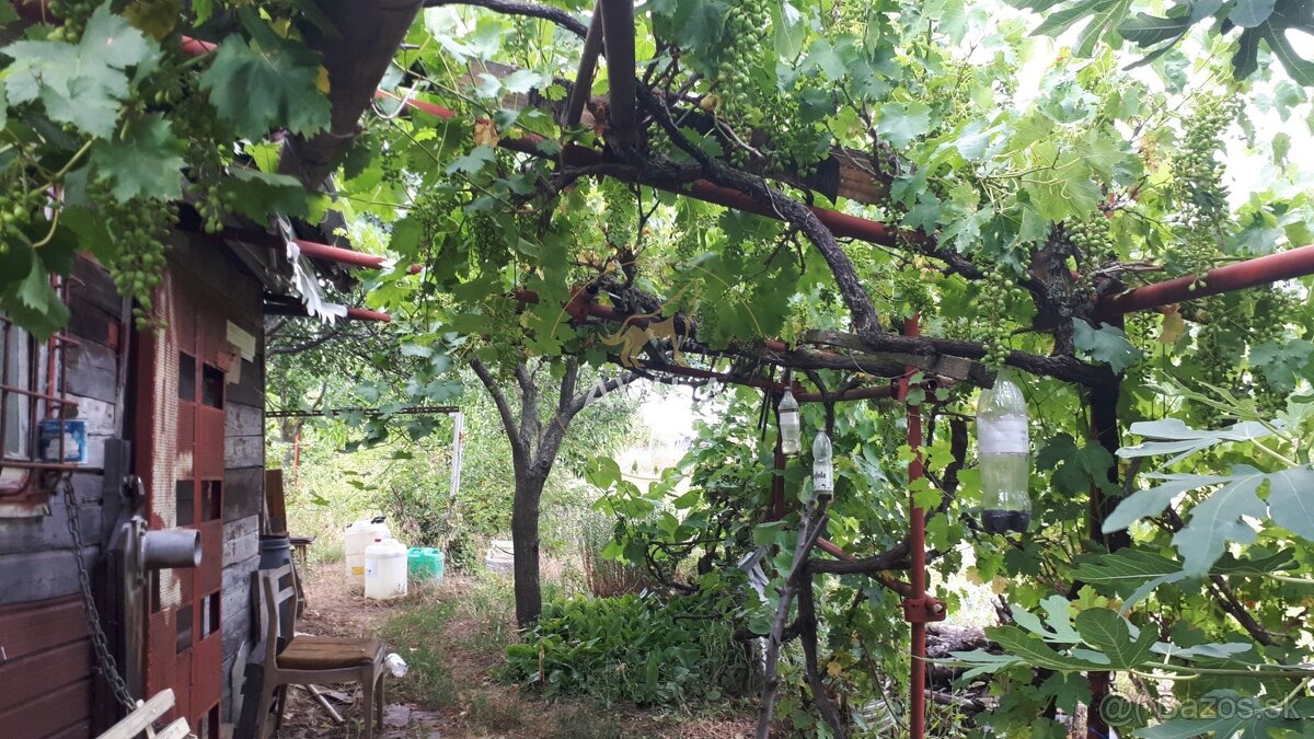 NA PREDAJ: veľká záhrada 1200m2 - Zvončín - 13