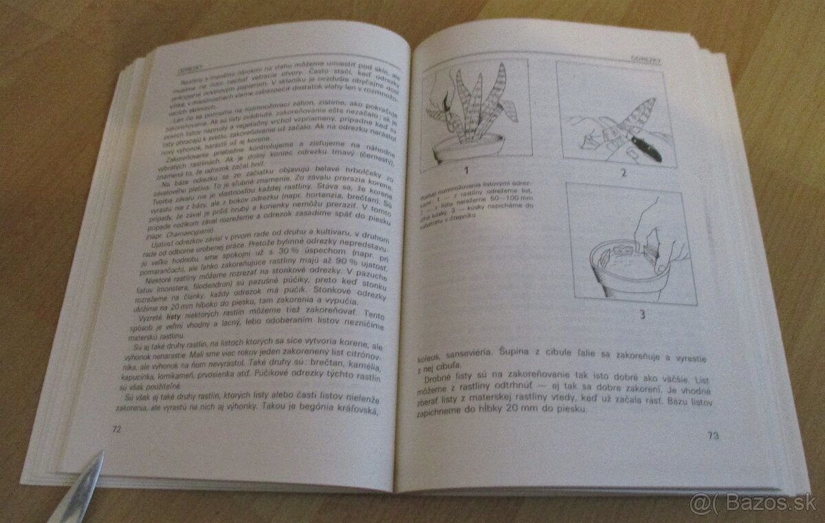 Vrúbľovanie, očkovanie, rozmnožovanie - 13