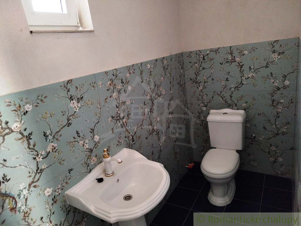 Rekonštruovaný gazdovský dom v pokojnej obci Kleňany v okr - 13