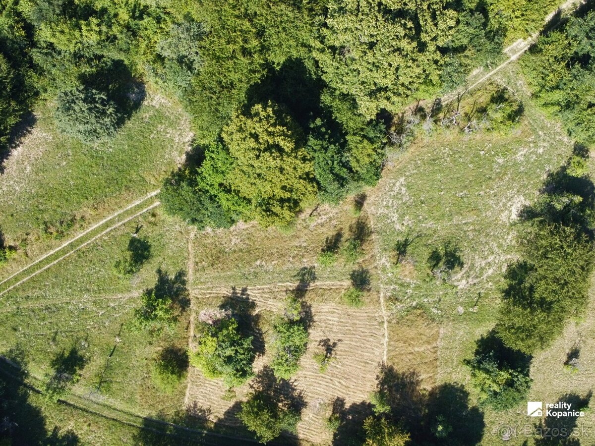 Malý domček, pokojná ulička, veľký pozemok a stodola - 13