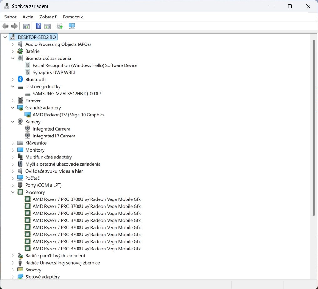 Thinkpad T495/Ryzen 7 Pro 3700U/16GB RAM/FHD IPS/512GB SSD_ - 13