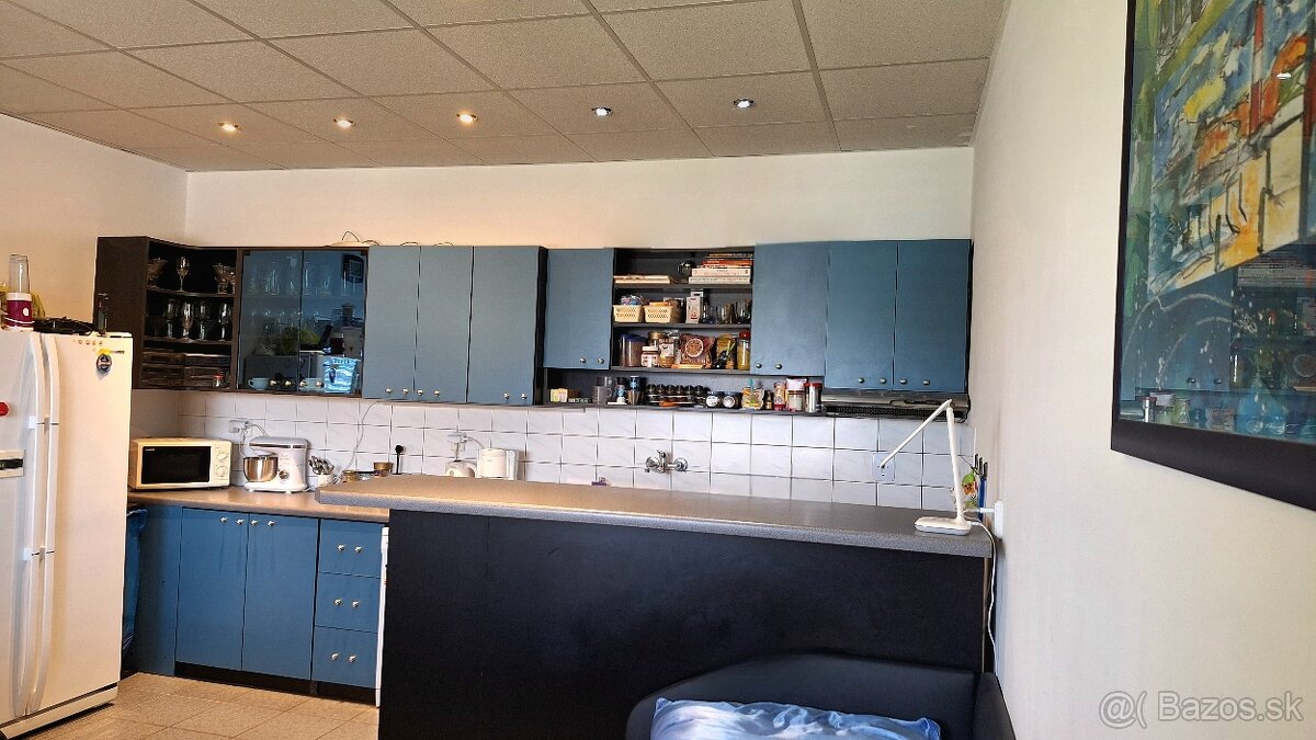 Dom s veľkým pozemkom + veľké priestory - 13