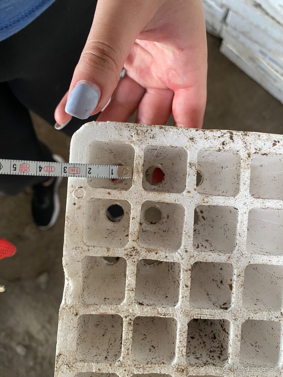 Sadbovač na planty - 13