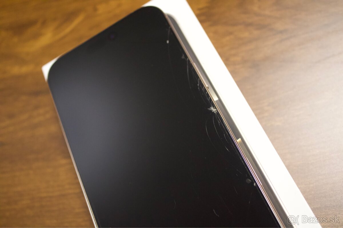 iPhone 16 Pro Max 256 GB - 13