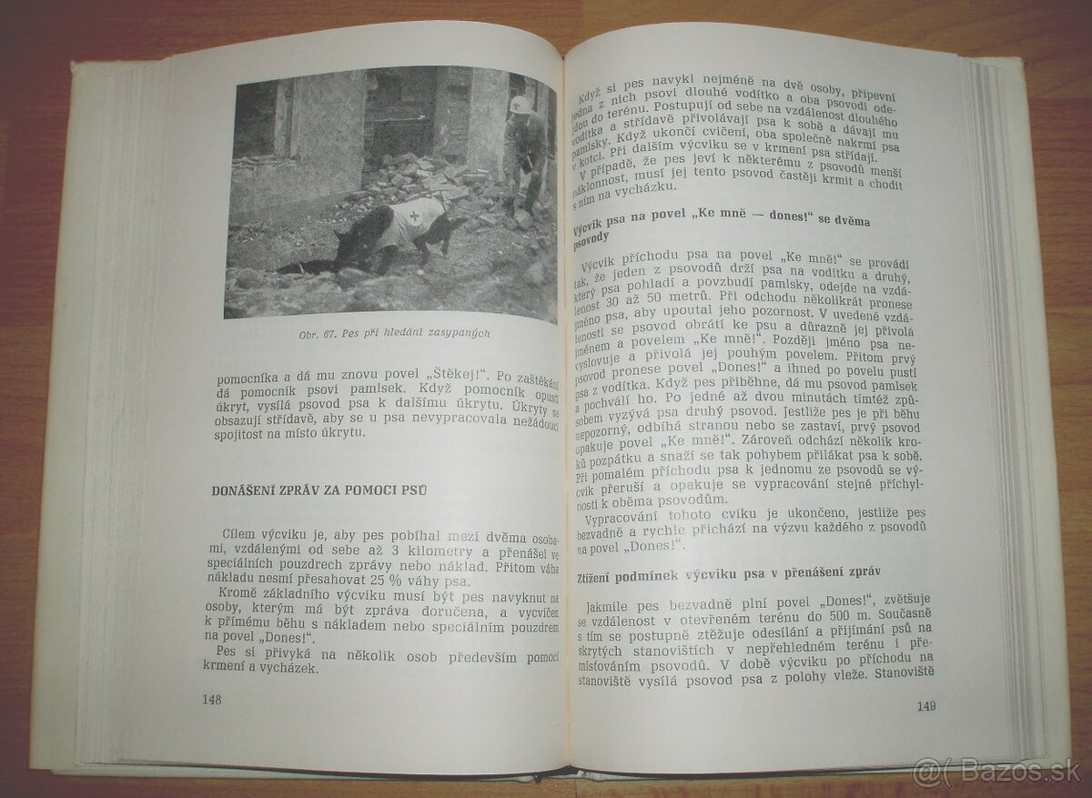 Výcvik psa - 13