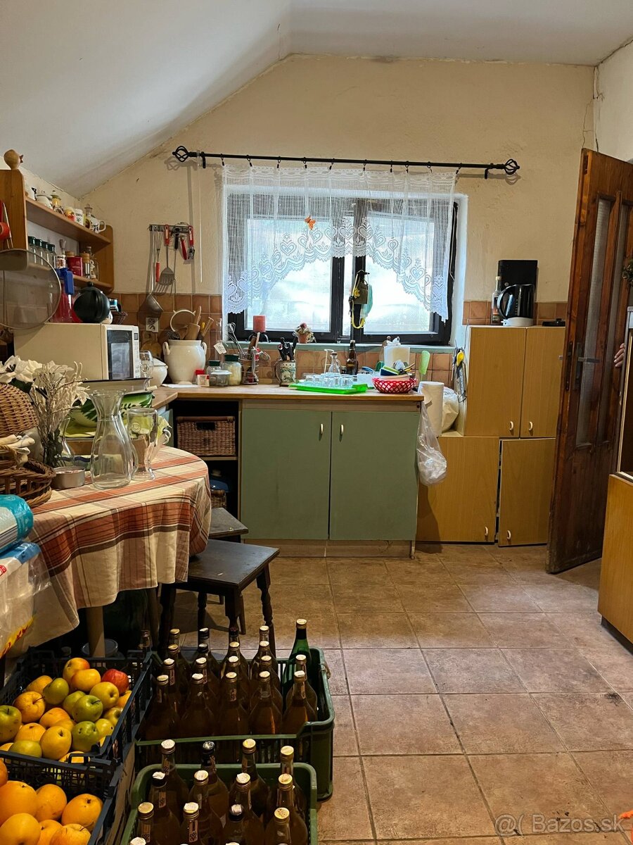 PREDAJ - Viničný dom s vinicou, Staré Predné Levice - 13