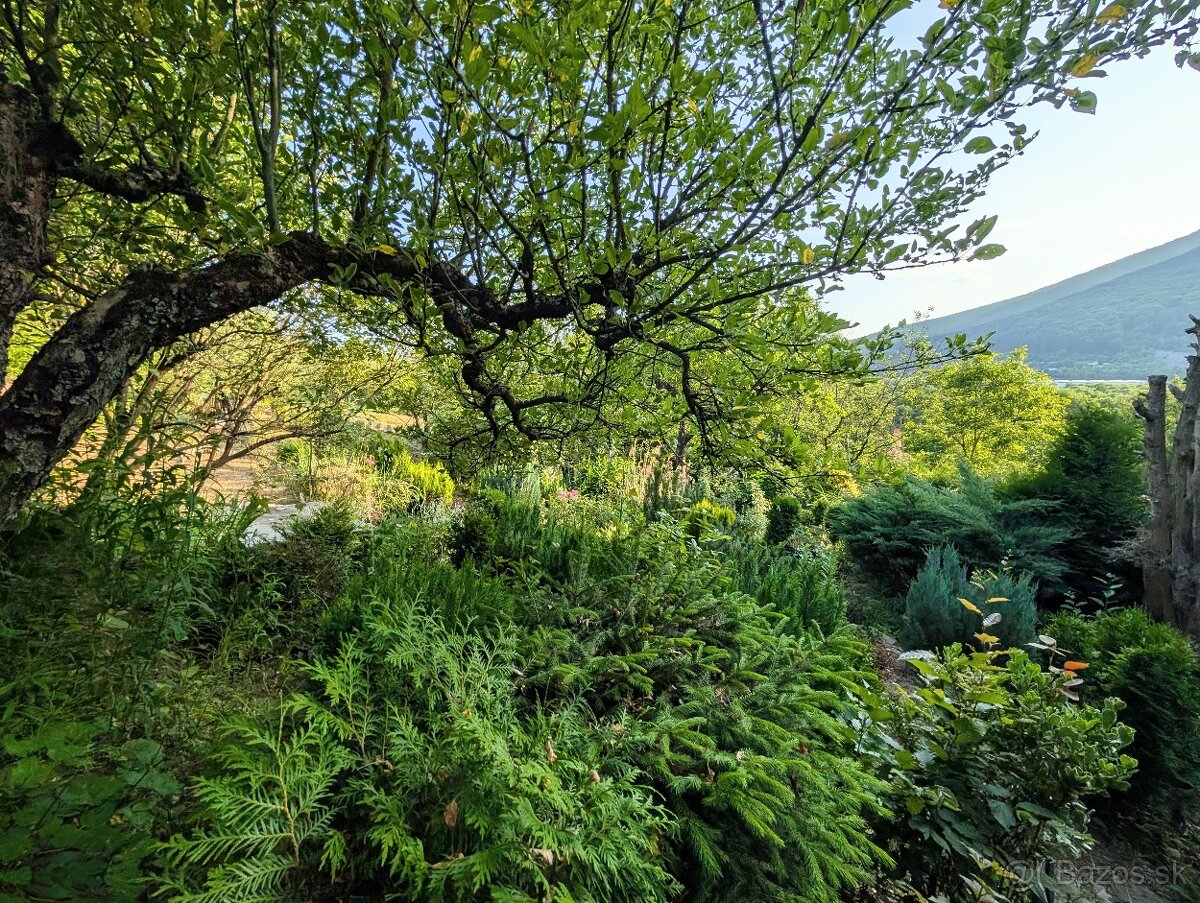 Murovaná chatka so záhradou - 13