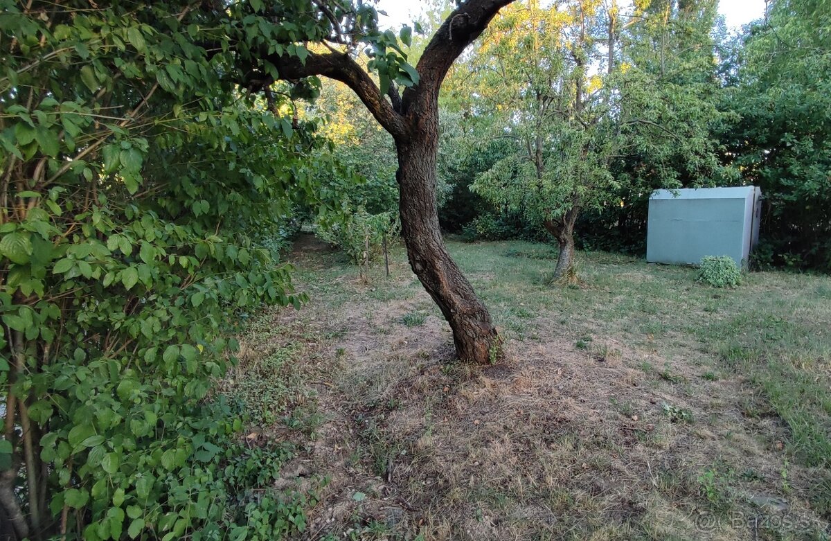 ⭐Možnosť novej chaty‼️ ZĽAVA ‼️ KOŠICE/JAZERO⭐ - 13