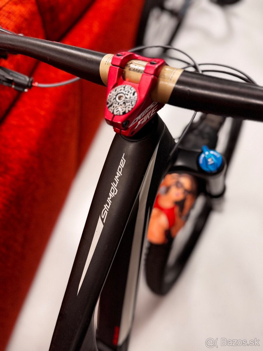 S-works Stumpjumper - 13