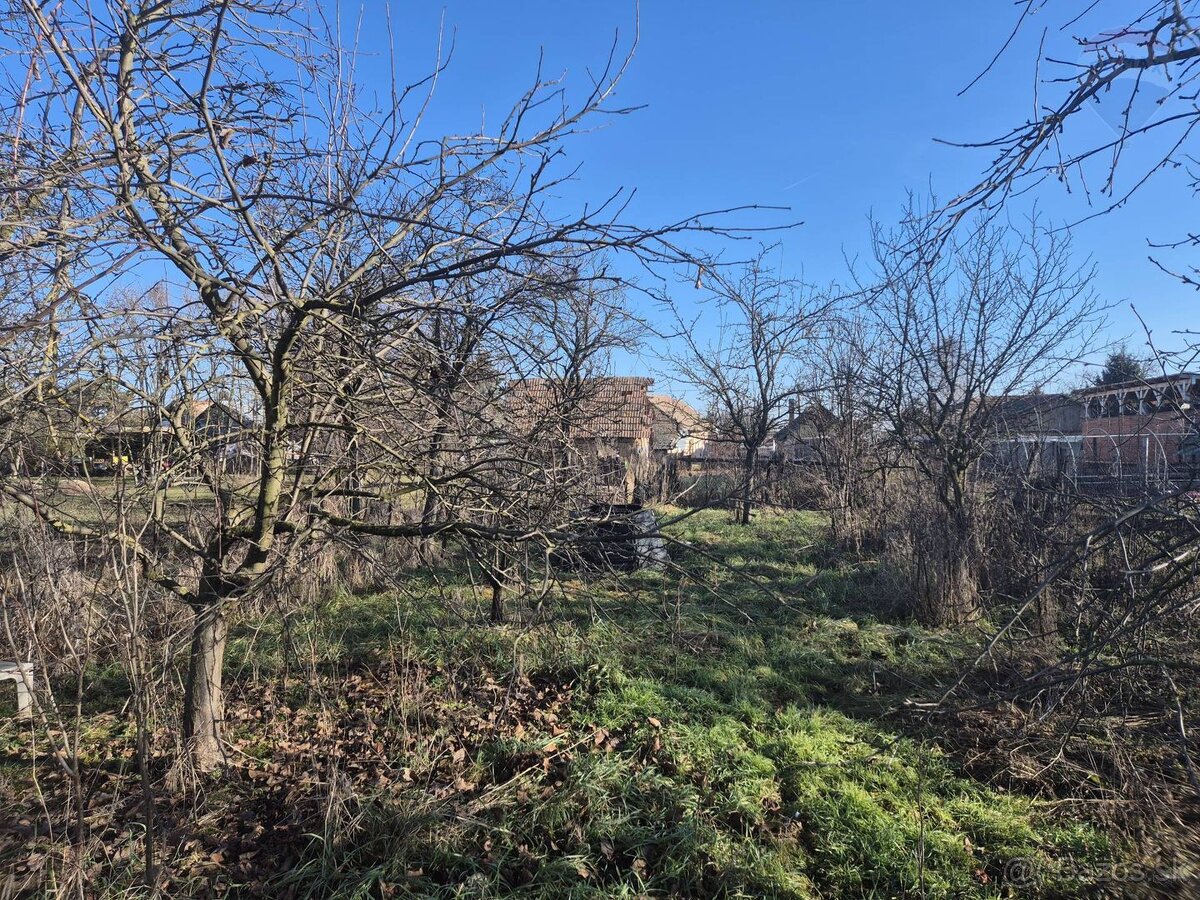 Gazdovský dom na 20á pozemku v Tekovských Lužanoch - 13