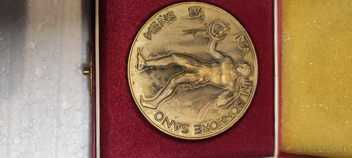 Plakety odznaky - 13