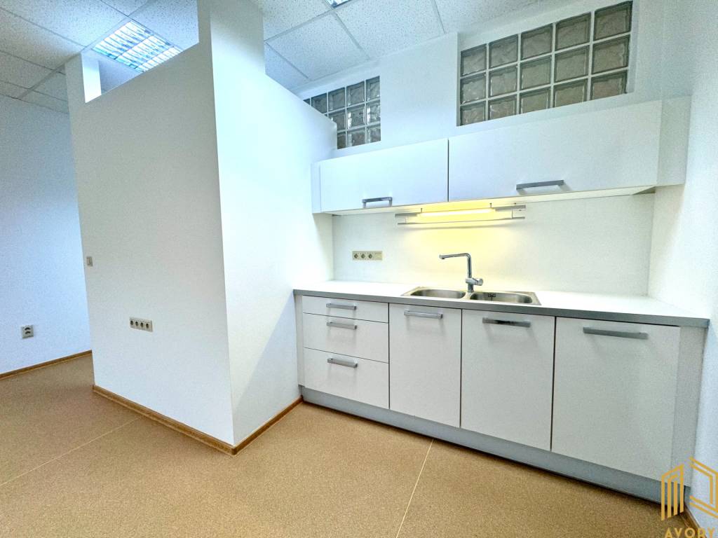 NA PRENÁJOM PRIESTORY PRE AMBULANCIU LEKÁRA, SENICA - 13