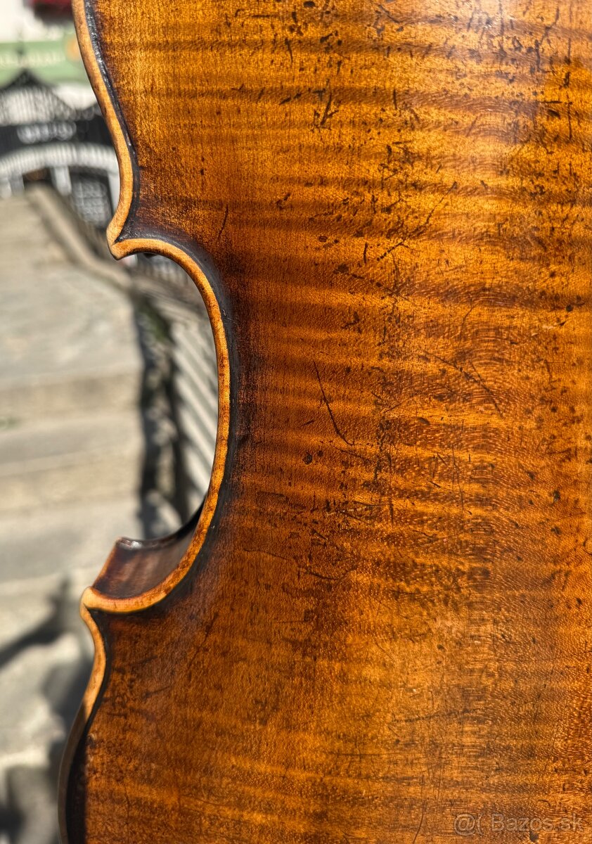 Viola 39,5 - 13