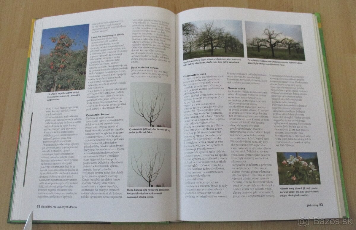 Řez ovocných stromu a keřu - 13