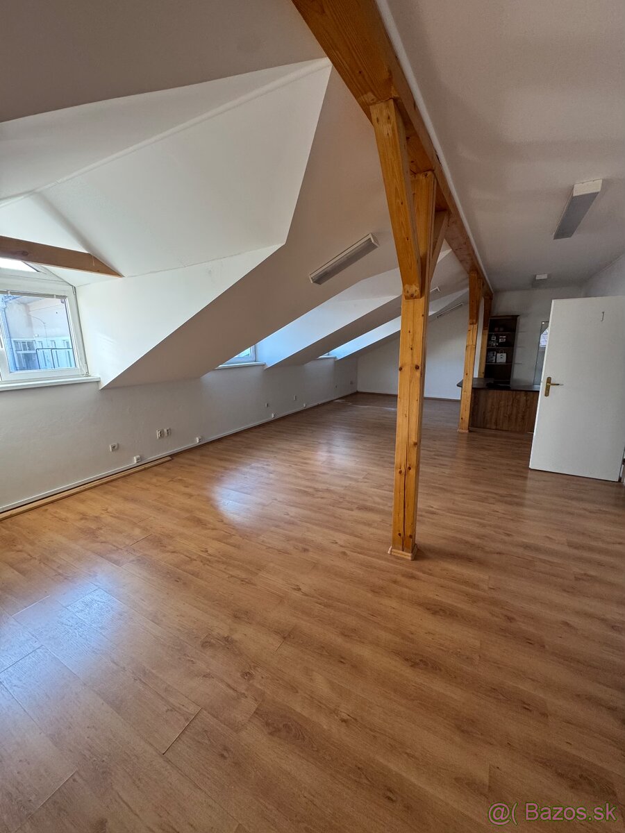 Prenájom obchodných a administratívnych priestorov v centre - 13