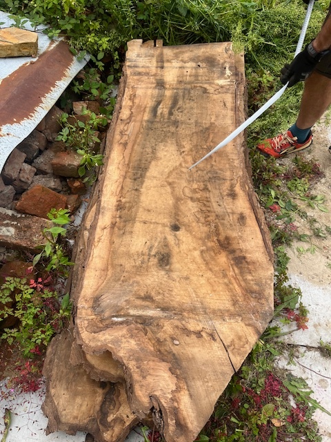 Orechové drevo - rezivo - 13