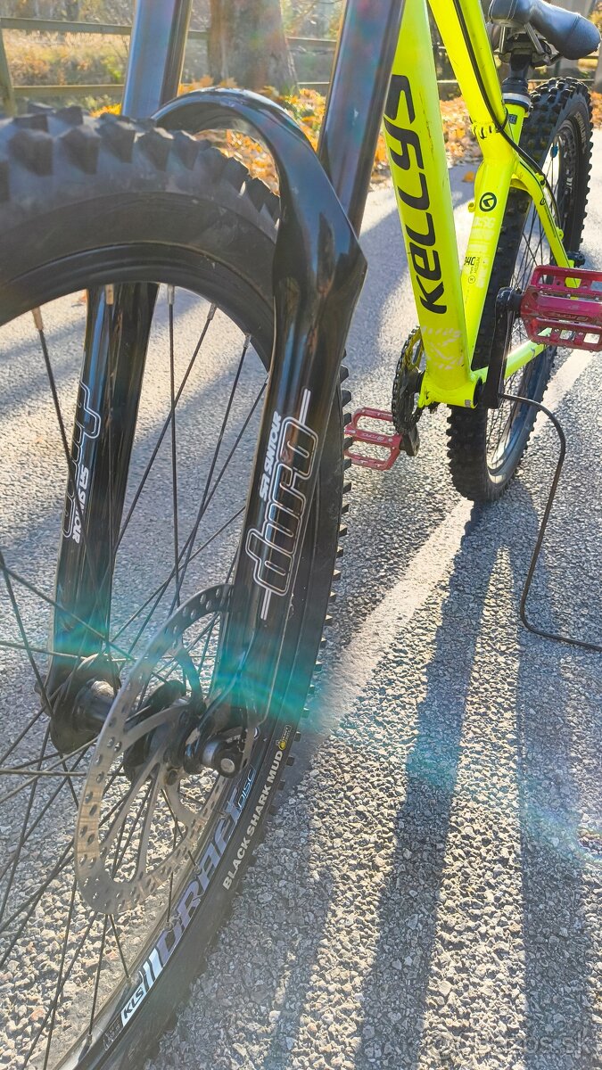 Kellys whip 10 2018 - 13