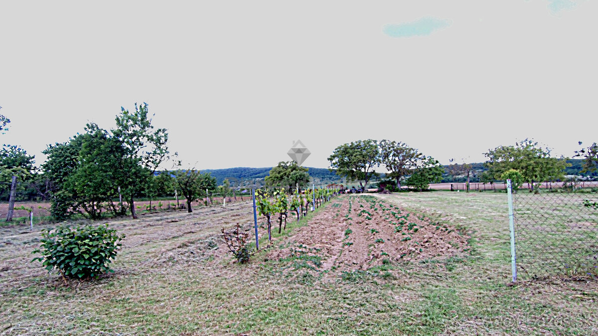 Rovinatý a slnečný pozemok v pokojnej obci Kašov - 13