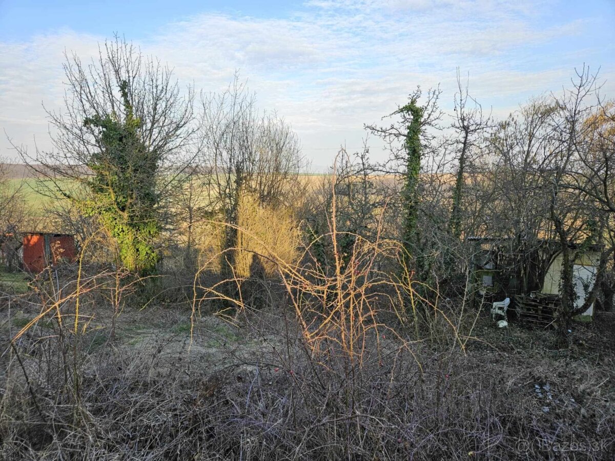 Predám pozemok v záhradkárskej oblasti Šípkové -AKTUÁLNE - 13