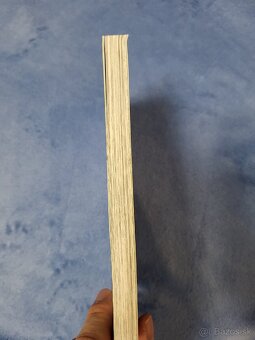 Čarodejová nevesta - 13