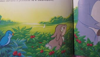 Disney - Bambi + Macko Puf (2011, 2012) - 13