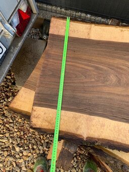 Orechove forsne z krásnou kresbou - 13