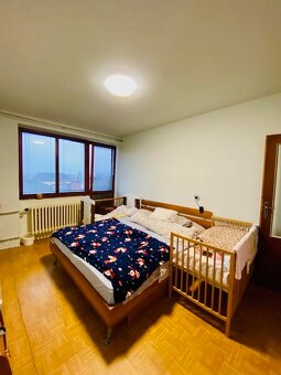 Priestranný dom s garážou na predaj, Trhová Hradská - 13