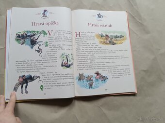 Tony Wolf Rozprávky od babičky medvedice a babičky zajačice - 13