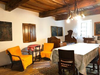 Udržiavaná vinica s chatou, 8500m2, Hrušov - 13