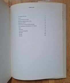 Fajansa - 13