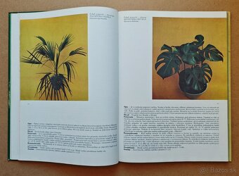 PESTOVANIE KVETOV - 2 knihy - 13