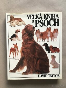 Môj adventný kalendár, Deti ako ja, Deti kapitána Granta - 13
